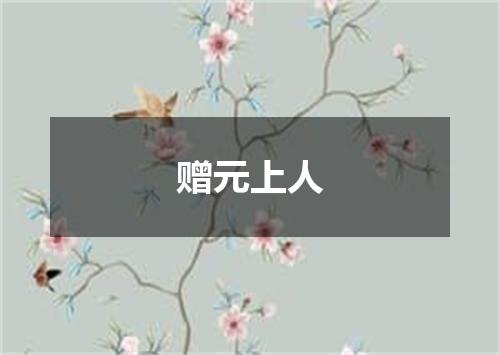 赠元上人