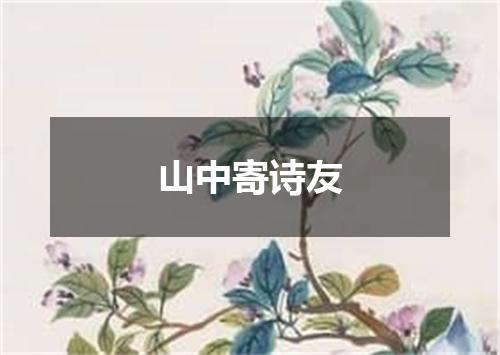 山中寄诗友