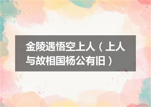 金陵遇悟空上人（上人与故相国杨公有旧）
