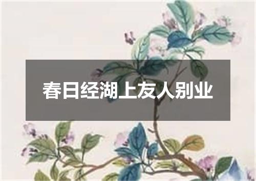 春日经湖上友人别业