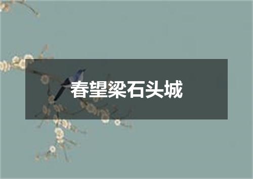 春望梁石头城