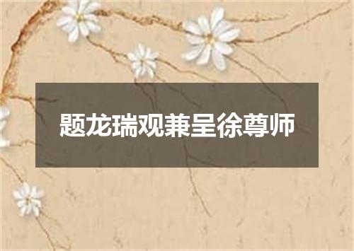 题龙瑞观兼呈徐尊师