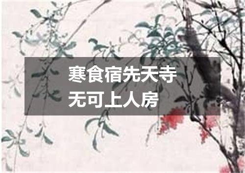 寒食宿先天寺无可上人房