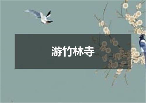 游竹林寺
