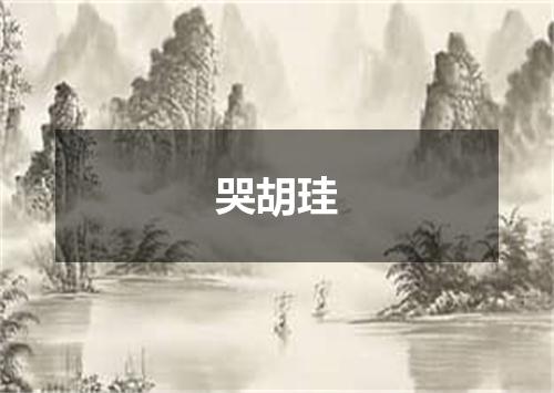 哭胡珪