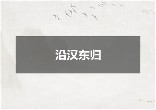 沿汉东归