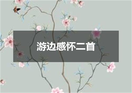 游边感怀二首