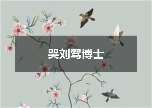 哭刘驾博士