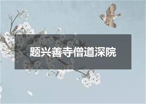 题兴善寺僧道深院