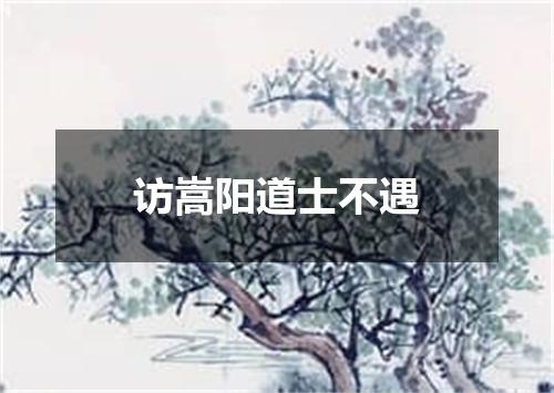 访嵩阳道士不遇