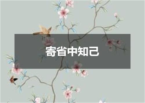 寄省中知己