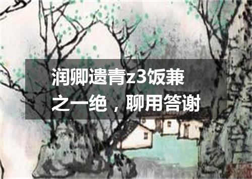 润卿遗青z3饭兼之一绝，聊用答谢