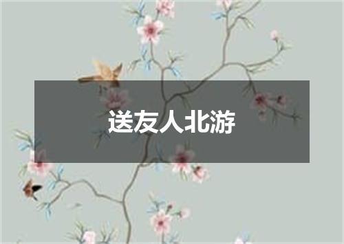 送友人北游