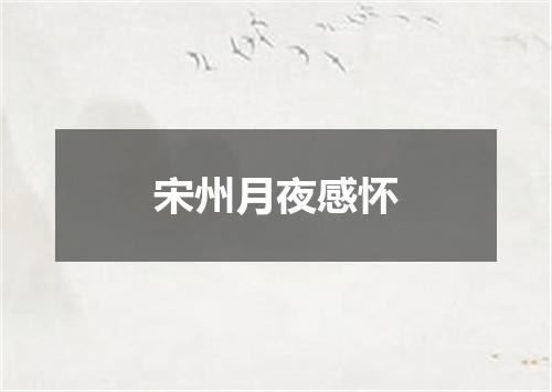 宋州月夜感怀