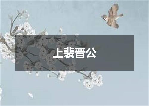 上裴晋公