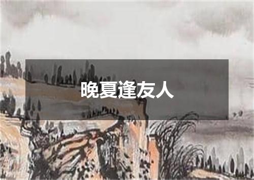 晚夏逢友人