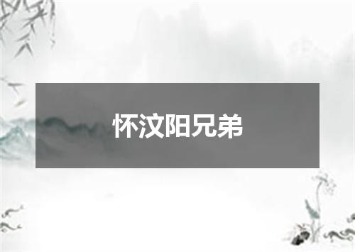 怀汶阳兄弟