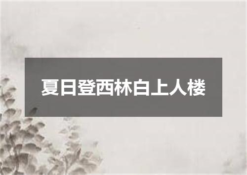 夏日登西林白上人楼