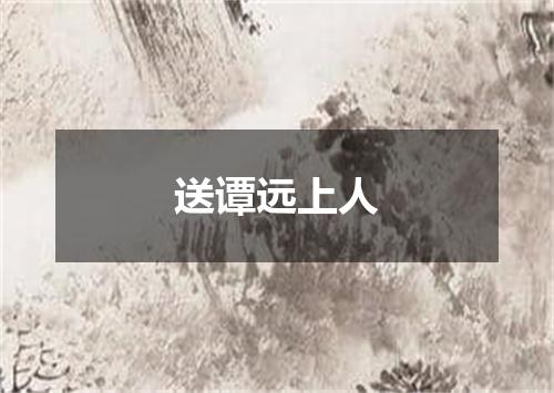 送谭远上人
