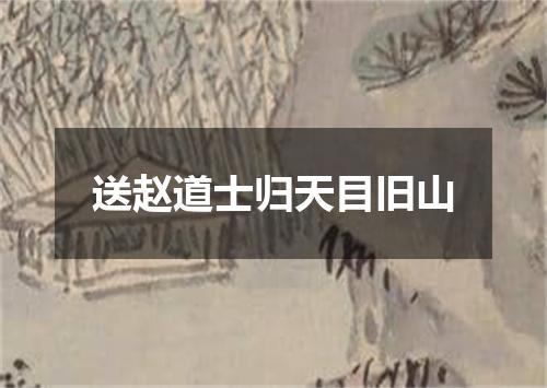 送赵道士归天目旧山