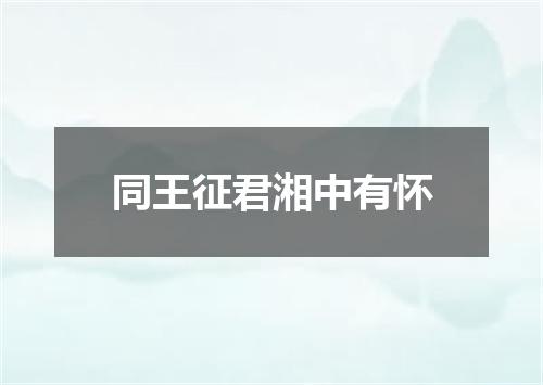 同王征君湘中有怀