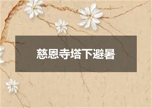 慈恩寺塔下避暑