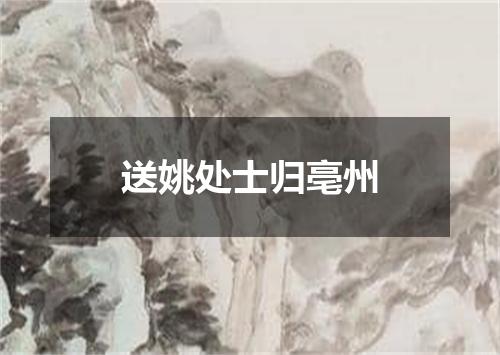 送姚处士归亳州
