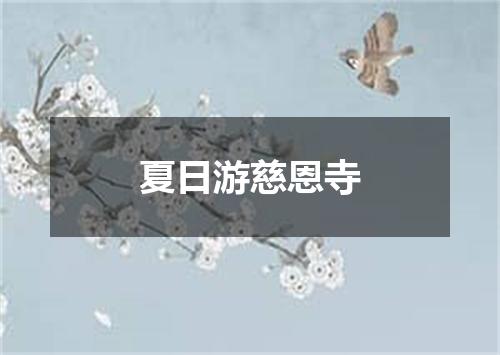 夏日游慈恩寺