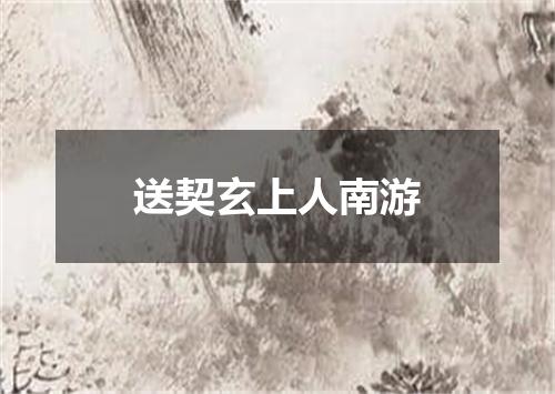 送契玄上人南游