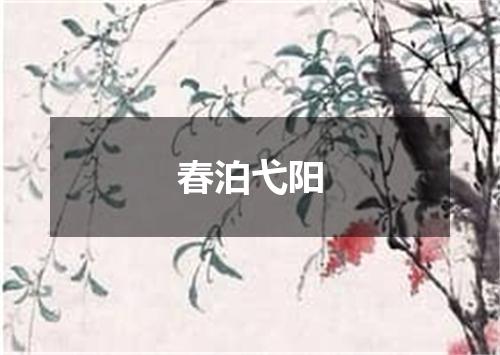 春泊弋阳