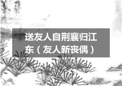送友人自荆襄归江东（友人新丧偶）