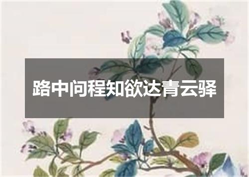 路中问程知欲达青云驿