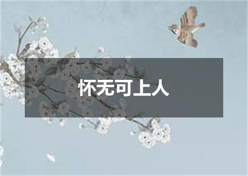 怀无可上人