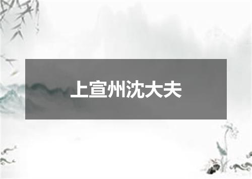 上宣州沈大夫
