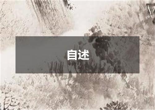 自述