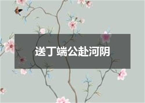 送丁端公赴河阴