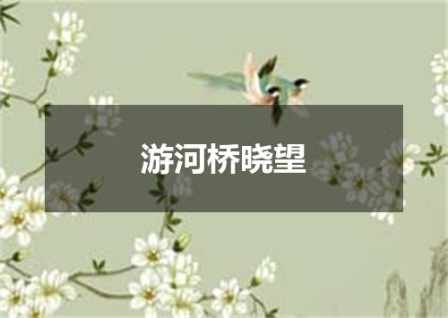 游河桥晓望