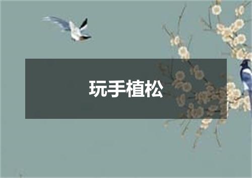 玩手植松