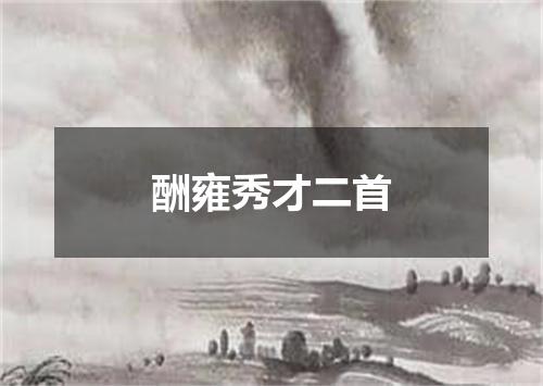 酬雍秀才二首