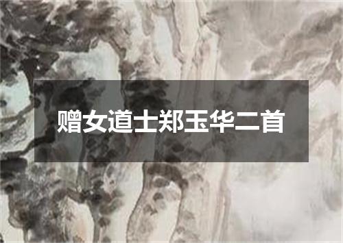 赠女道士郑玉华二首