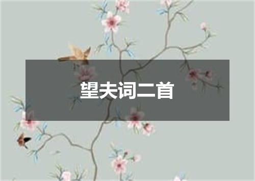 望夫词二首
