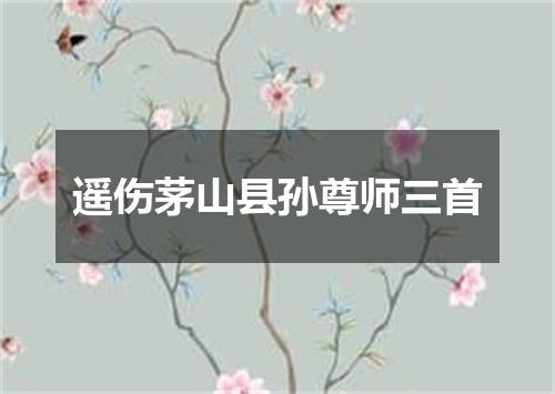 遥伤茅山县孙尊师三首