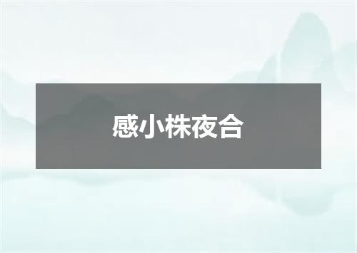 感小株夜合