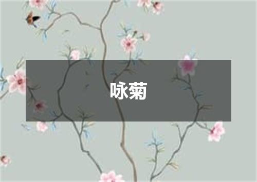咏菊