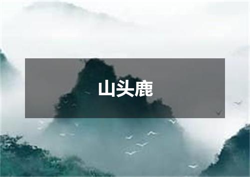 山头鹿