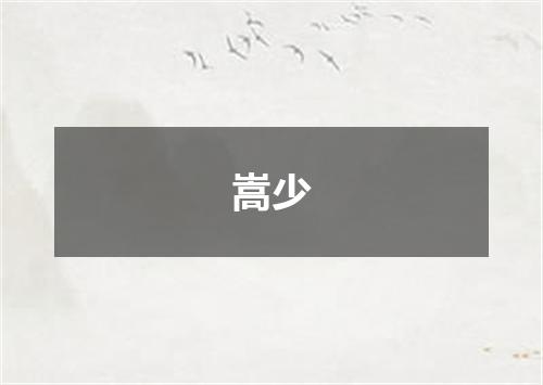 嵩少