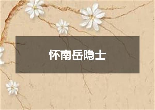 怀南岳隐士