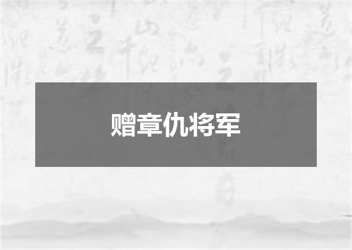 赠章仇将军