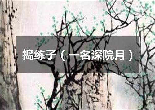 捣练子（一名深院月）
