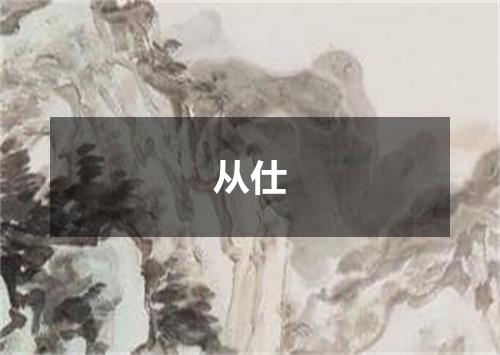 从仕